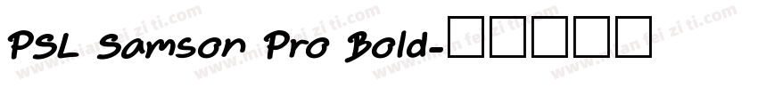 PSL Samson Pro Bold字体转换